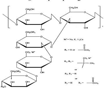 Gambar 5. Struktur molekul xanthan gum (Shah dan Singh., 2009) 