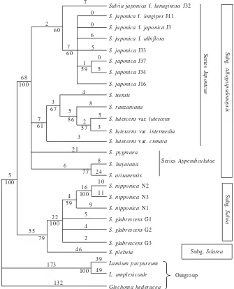 Table 3. Genetic diversity indices and estimation gene flow for S. japonica, S. lutescens, and comparing with outcrossing and widespread species(Hamrick & Godt 1990)