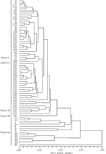 Figure 3. UPGMA dendrogram of allozyme divergence based on Nei’s genetic distance among 72 populations of ten species of Salvia