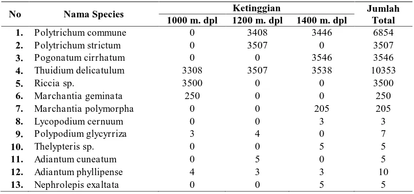 Tabel 1. Hasil inventarisasi Tumbuhan (Bryophyta dan Pteridophyta) di Taman Hutan 
