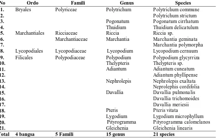 Tabel 2. Tumbuhan (Bryophytam.dpl dan 1.400 m.dpl) 