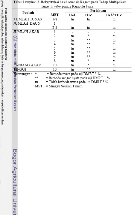 Tabel Lampiran 3. Rekapitulasi hasil Analisis Ragam pada Tahap Multiplikasi 