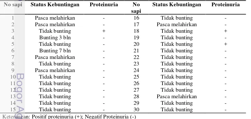 Tabel 1   Profil Proteinuria berdasarkan Status Kebuntingan pada sapi perah di 