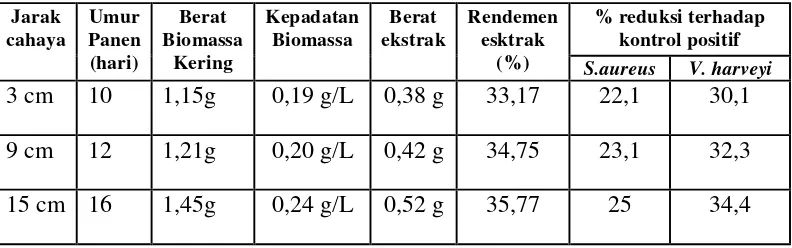 Tabel 2.  Pengaruh intensitas cahaya terhadap kepadatan biomassa, 