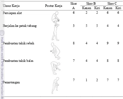 Tabel 7 Skor A, skor B dan skor C pada kegiatan penebangan 