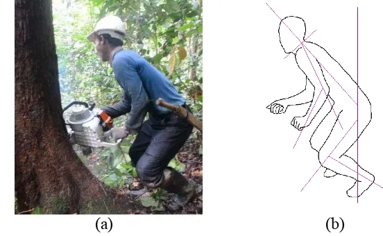 Gambar 4 (a) Postur tubuh pembuatan takik rebah (b) Perspektif postur tubuh 