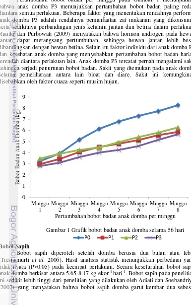 Gambar 1 Grafik bobot badan anak domba selama 56 hari 