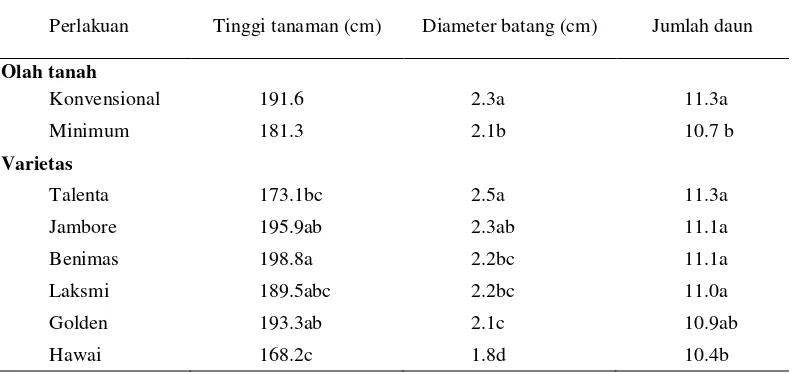 Tabel 2  Rata-rata tinggi tanaman, diameter batang dan jumlah daun enam varietas jagung manis pada pada perlakuan pengolahan tanah dan penanaman biomulsa 