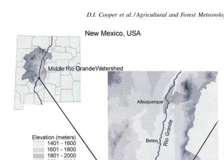 Fig. 1. Site map showing the location and elevation of the Bosque in relation to New Mexico and the study site in relation to the Bosque.The right panel is a false color image showing the salt cedar, cottonwoods, the drainage levee and the location of the 