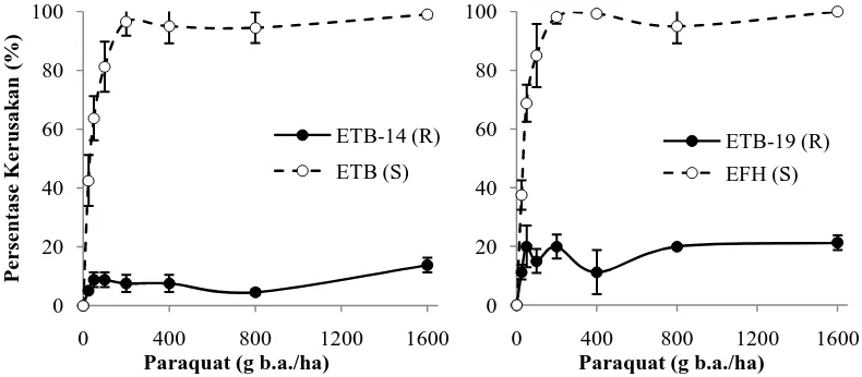 Gambar 1.Grafik perbandingan persentase kerusakan E. indica antara biotip resisten dan sensitif akibat herbisida paraquat pada 3 MSA