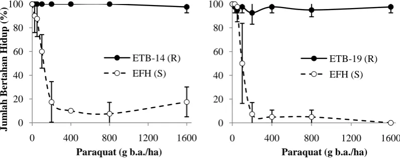 Tabel 3.Rataan jumlah gulma bertahan hidup antara biotip resisten (ETB-14 dan ETB-19) dan sensitif (EFH) akibat herbisida paraquat pada 3 MSA