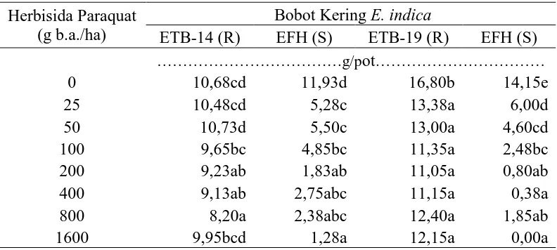 Tabel 4. Rataan bobot kering gulma antara biotip resisten (ETB-14 dan ETB-19) dan sensitif  (EFH) akibat herbisida paraquat pada 3 MSA