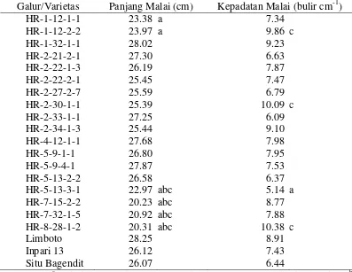 Tabel 6  Rataan panjang malai dan kepadatan malai galur dihaploid dengan varietas pembanding 