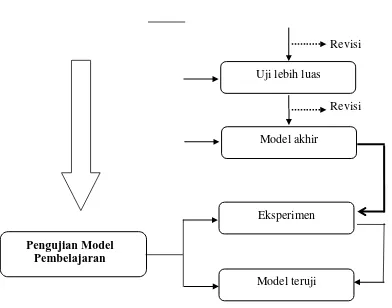 Gambar 3.3. Prosedur Penelitian dan Pengembangan Model Pembelajaran 