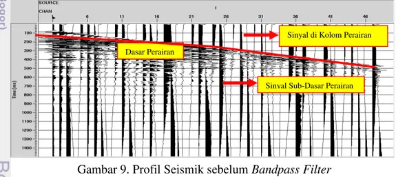 Gambar 9. Profil Seismik sebelum Bandpass Filter 