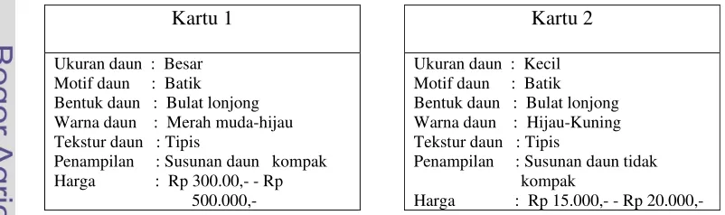 Gambar 2 Rancangan Kartu Stimuli 