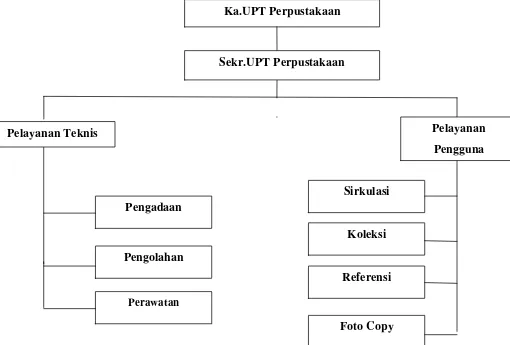 Gambar 1 : Struktur Organisasi Perpustakaan Politeknik Negeri Medan