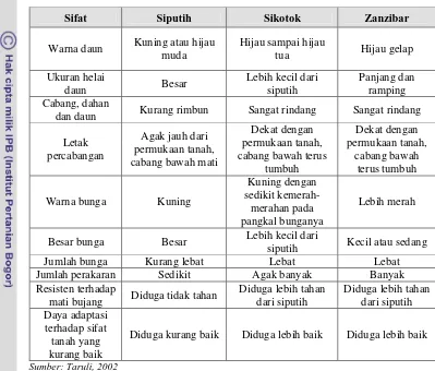 Tabel 3. Perbedaan Sifat antara Siputih, Sikotok dan Zanzibar 