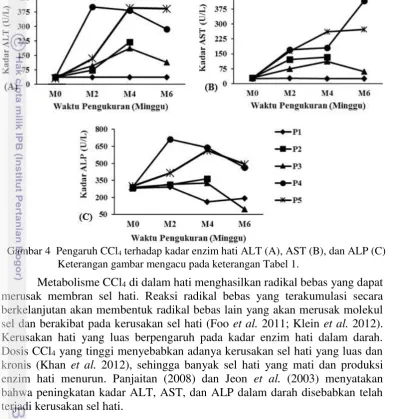 Gambar 4  Pengaruh CCl 4 terhadap kadar enzim hati ALT (A), AST (B), dan ALP (C) 