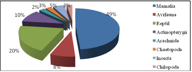 Gambar 1. Diagram klasifikasi dan persentase jumlah jenis satwa berkhasiat obat. 