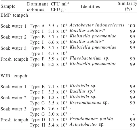 Table 2 The type of bacteria dominant in soak water and freshtempe EMP and WJB grown on PCA medium