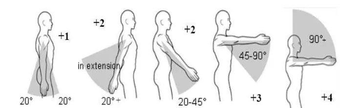 Gambar 3.6. Postur Tubuh Bagian Lengan Atas (Upper Arm)  