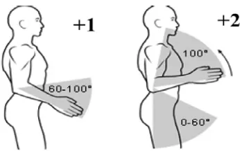 Gambar 3.7. Postur Lengan Bawah  