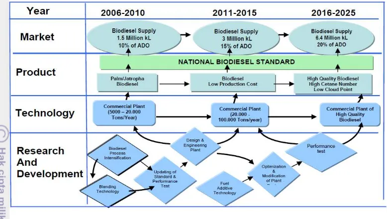 Figure 1 Biodiesel development roadmap in 2006 (Wirawan, Tambunan 2006) 