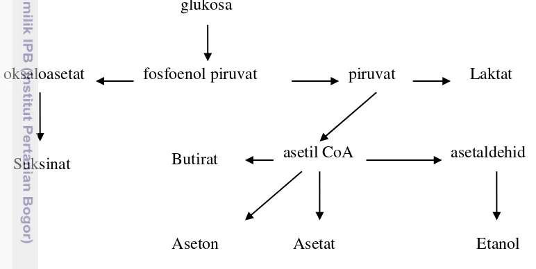 Gambar 1 Jalur biosintesis etanol dari glukosa (Gokarn et al. 1997) 
