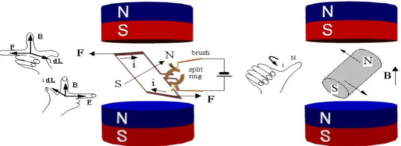 Figure 2.4 Torque exerted on armature and armature start rotating 