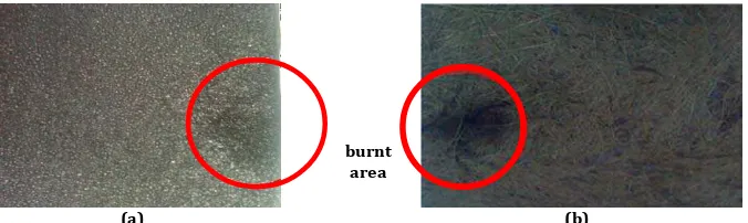 Figure 5: Burnt area at (a) synthetic rubber specimen (b) natural fiber specimen 