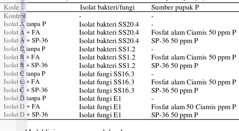 Tabel 1  Pelaksanaan percobaan antara isolat bakteri/fungi dengan pupuk P 