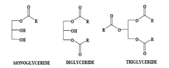 Gambar 1. Struktur molekul monogliserida, digliserida dan trigliserida 