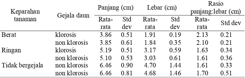 Tabel 2  Panjang, lebar, dan rasio panjang:lebar daun tanaman jeruk pada berbagai tingkat keparahan penyakit huanglongbing 