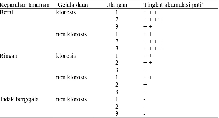 Tabel 4  Intensitas akumulasi pati pada bagian ibu tulang daun tanaman jeruk   
