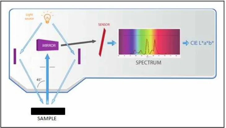 Gambar 10. Mekanisme kerja spektrofotometer warna53 