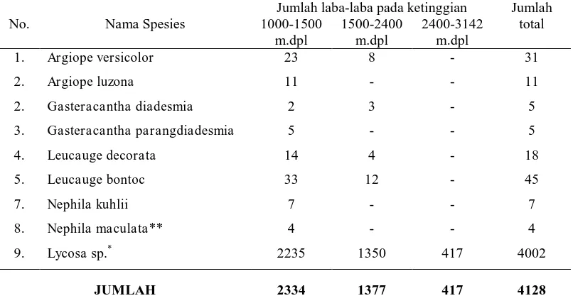 Tabel 4.1 Hasil penelitian jenis laba-laba (Arachnida) di sekitar Taman Nasional Gunung Merbabu (TNGM) Jumlah laba-laba pada ketinggian Jumlah 