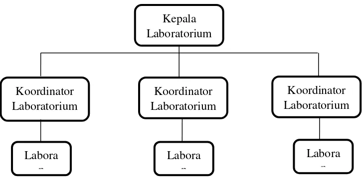 Gambar 5. Bagan Struktur Organisasi pada Laboratorium  Menurut Anti Damayanti & Isna Kuniatanty 