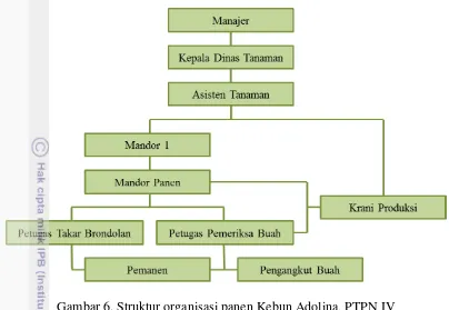 Gambar 6. Struktur organisasi panen Kebun Adolina, PTPN IV 