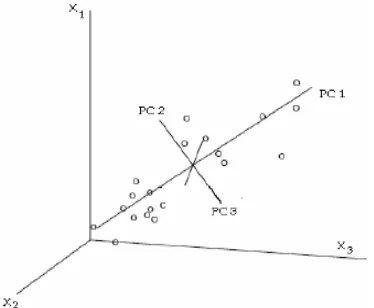 Gambar 6  Komponen utama prediktor X1,    X2, dan X3 (Miller & Miller 2000).  