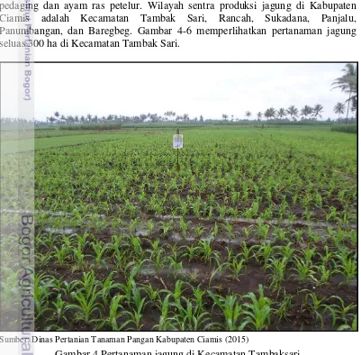 Tabel 9 Produksi padi dan palawija di Kabupaten Ciamis tahun 2008 - 2012 