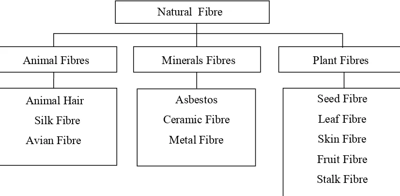 Figure 1.1: Classification of Natural Fibre [1]. 