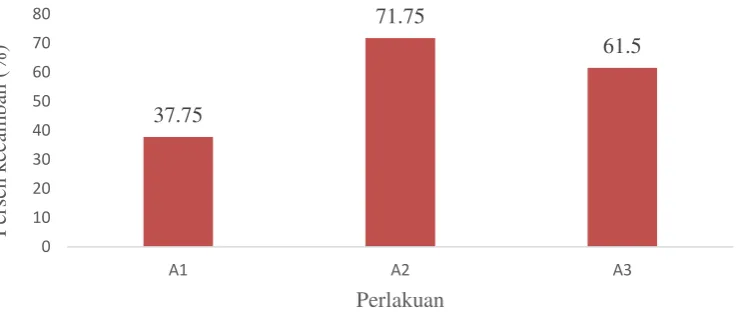 Gambar 1  Daya kecambah balsa pada akhir pengamatan (31 hari) 