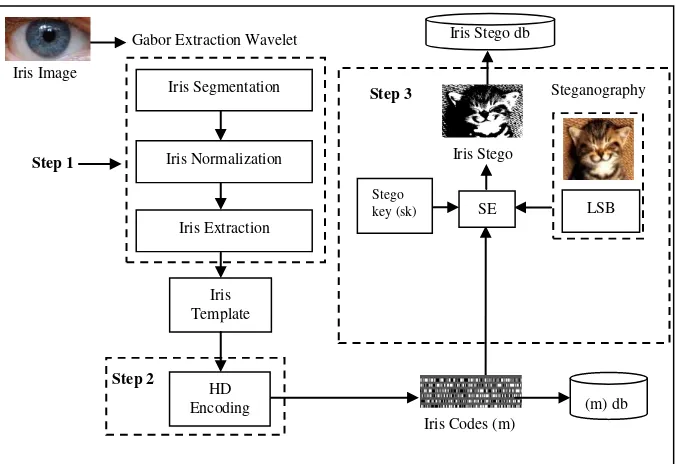 Fig. 3. Iris Enrollment Process  