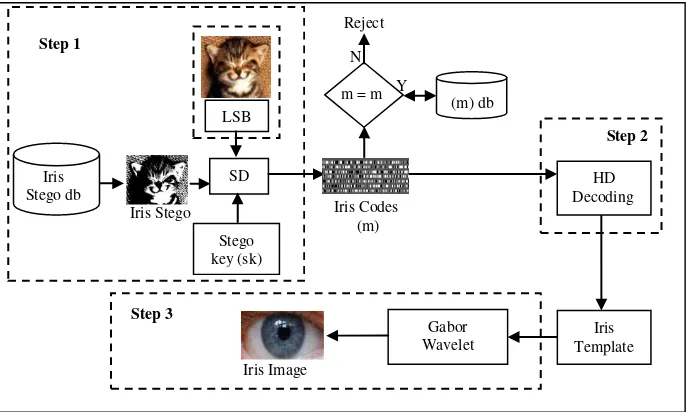 Fig. 4. Iris Verification Process 