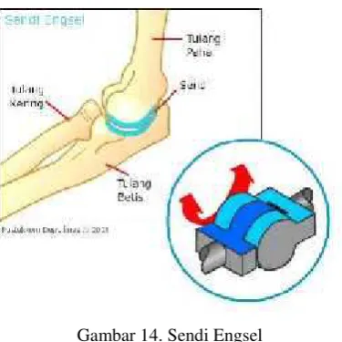 Gambar 14. Sendi Engsel