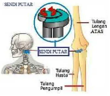 Gambar 17. Sendi Geser