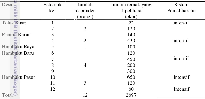Tabel 1 Jumlah responden dan jumlah ternak itik Alabio yang dipelihara di  