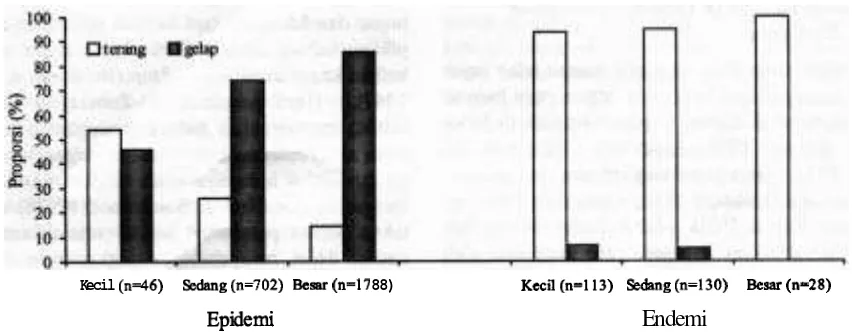 Gambar 3 Perbandingan banyaknya larva yang berhasil dikurnpulkan pada musim hujan (Desember 1995-Februari 1996) dan musim kemarau (April-Juni 1996) 