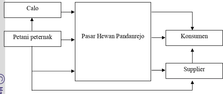 Gambar 3. Pola Pemasaran Kambing Peranakan Ettawa Di Kabupaten Purworejo